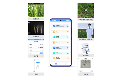 亳州市小麦表型测量仪IN-XM05